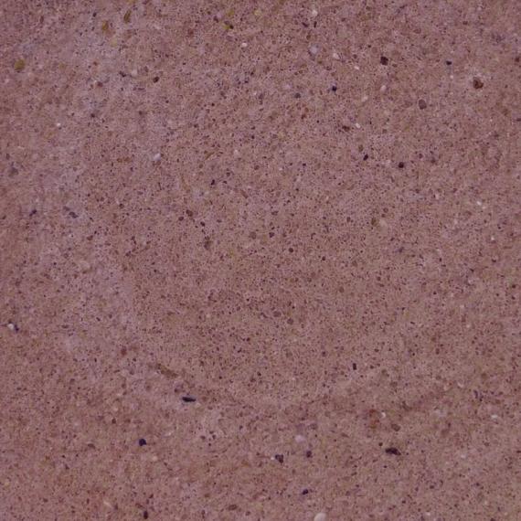 Teichbau-Mörtel Farbe dunkelbraun | 25 kg